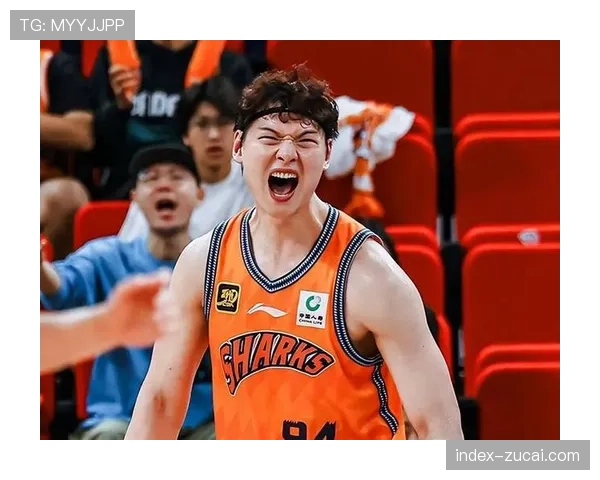 王哲林内线稳定贡献 上海男篮逐渐找回状态